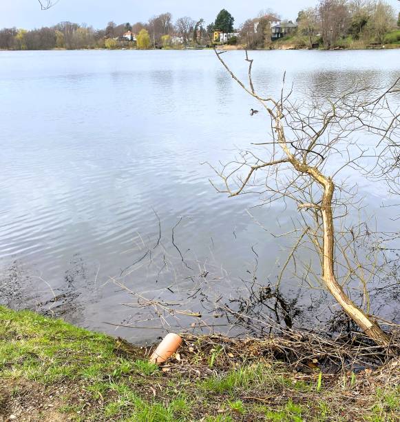 istock Rainwater drainage into scenic lake 2148614920