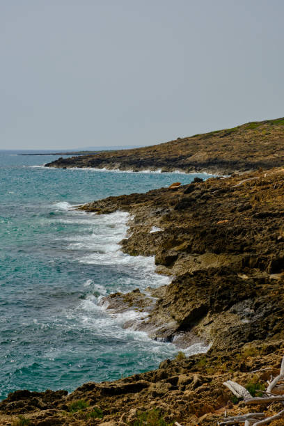 Vertical shot of waves crashing over rocks