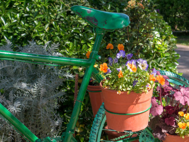 istock An old green bicycle with flowers 2148620535