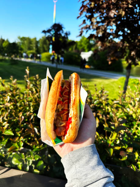 istock Delicious hot dog in a man's hand 2148621940