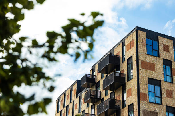 istock green tree against a facade of modern building 2148622815