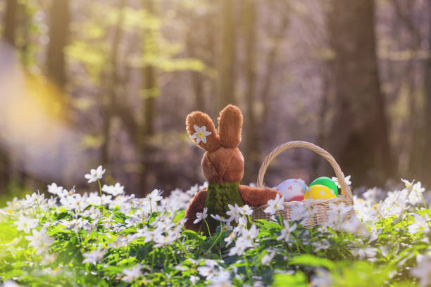 Easter greeting card with copy space for text - back view of a plush toy bunny with a basket full of Easter eggs in the spring forest