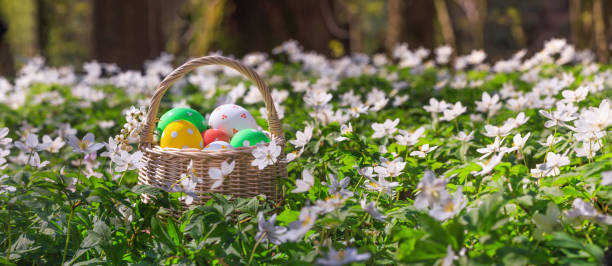 istock Basket with Easter eggs in forest - season greeting card and background horizontal banner 2148623309