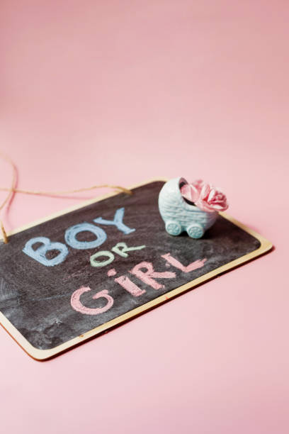 istock Gender reveal party decorations 2148623752