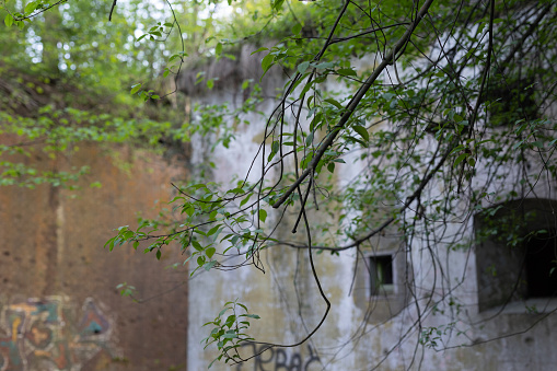 Old ancient abandoned ruins of historical building overgrown by plants.