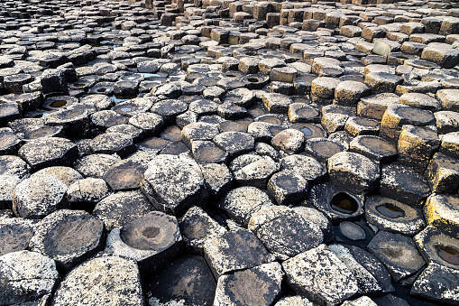 View at Giant's Causeway in a beautiful summer day, Northern Ireland