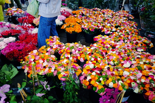 flower market on the canals of Milan