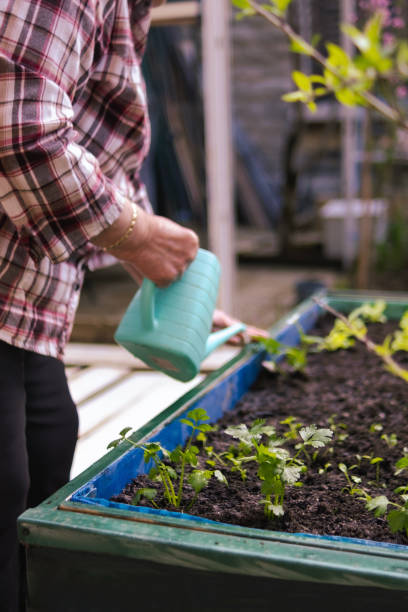 istock The greatest love, gardening 2148624989