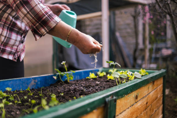 istock The greatest love, gardening 2148624996