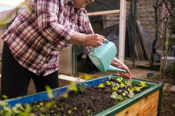 istock The greatest love, gardening 2148624998