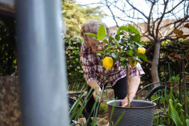 istock Senior's love Arbor day because they can re-pot more trees 2148625101