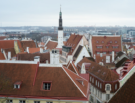cityscape panorama of old town Tallinn, Estonia