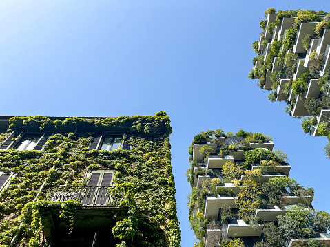 View of the balconies and terraces of Bosco Verticale, full of green plants. Spring time. 04-11-2024. Milan, Porta Nuova skyscraper residences, Italy