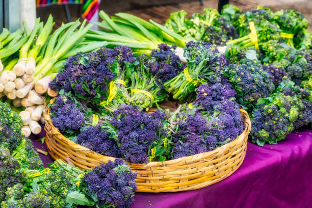 istock Fresh Farmer's market purple sprouting broccoli 2148626193
