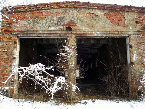 The relentless forces of nature reclaim a once-sturdy brick barn, its walls crumbling under the weight of time and neglect