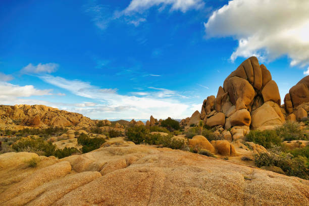 istock Desert scenery with eroded rocks and sparse vegetation. Joshua Tree National Park,  Mojave Desert, California 2148626854