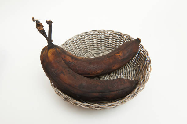 Two rotten bananas in a basket.
