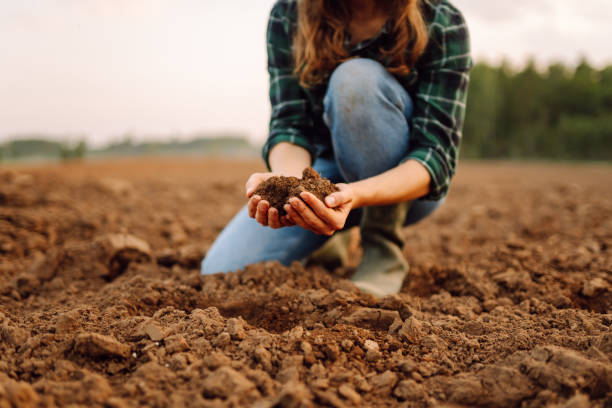 istock Female hands touching soil on the field. 2148628867