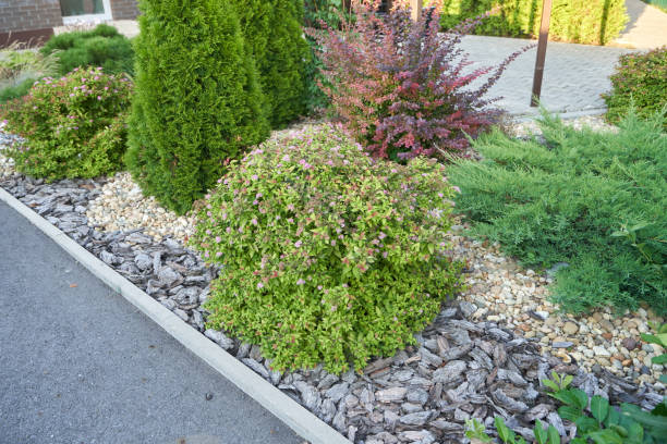 istock Landscaping with bushes and bark backfill 2148629315