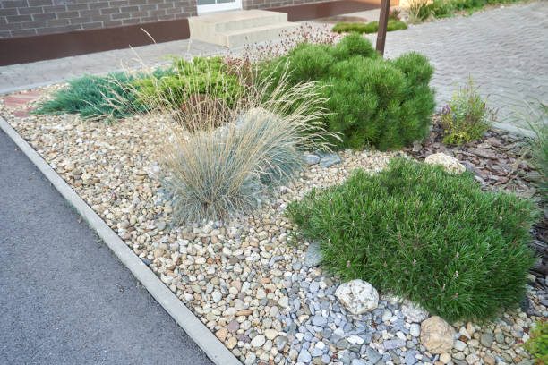 istock Landscaping with pebbles and bushes 2148629323