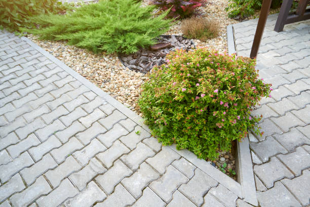 istock Shaped flowerbed with bushes and pebbles along the path 2148629412
