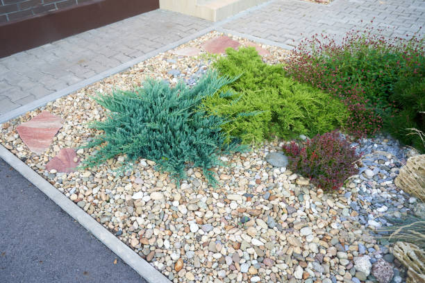 istock Flowerbed with bushes and pebbles along the path 2148629441