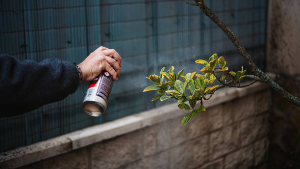 istock Person spraying pest control spray on a tree 2148632285