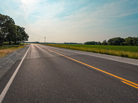 Low angle view of a two lane country road in summertime. The road is surrounded by agricultural fields, grass and trees. Wispy blue morning skies above.