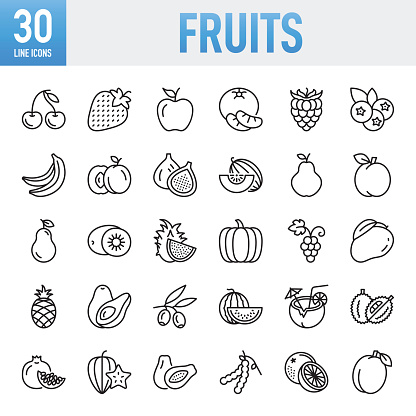 Fruits Line Icons. Set of vector creativity icons. 64x64 Pixel Perfect. For Mobile and Web. The set contains icons: Idea generation preparation inspiration influence originality, concentration challenge launch. Contains such icons as Fruit, Healthy Eating, Healthy Lifestyle, Strawberry, Apple - Fruit, Orange - Fruit, Grape, Blueberry, Avocado, Mango Fruit, Healthy Eating, Healthy Lifestyle