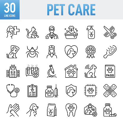 Pet Care Line Icons. Set of vector creativity icons. 64x64 Pixel Perfect. For Mobile and Web. The set contains icons: Idea generation preparation inspiration influence originality, concentration challenge launch. Contains such icons as Veterinarian, Healthcare And Medicine, Medicine, Insurance, Grooming - Animal Behavior, Animal Hospital, Animal Welfare, Care, Vaccination, Syringe, Capsule - Medicine, Scissors, Passport, Food, Pet Food, Pet Food Dish, Sheltering, Pet Owner