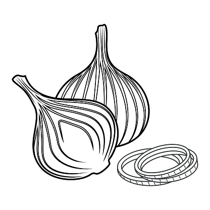 Onion set. Cut in half, slice and onion rings. Vector illustration.