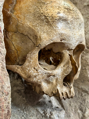 Detail of the Skull Tower (Cele kula), a stone structure embedded with human skulls  constructed by the Ottoman Empire 1809