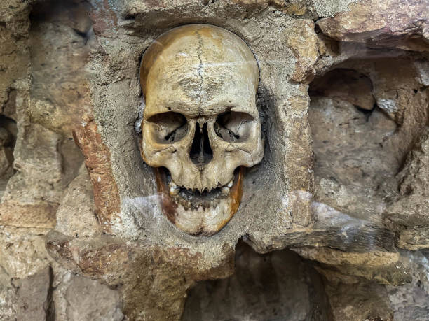 Human skull and bones in a grave.