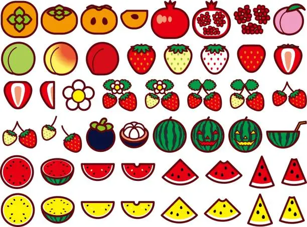 Vector illustration of fruit set 5