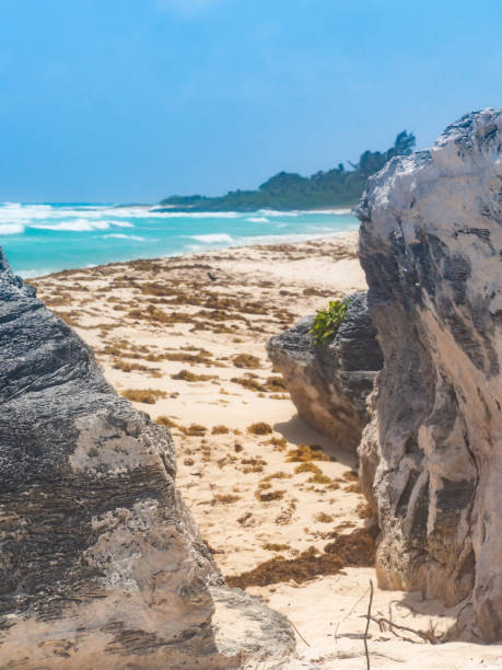 istock Landscape of a tropical beach 2148635775