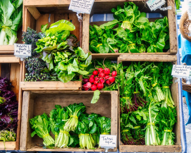 Red radish and leaf vegetables - Kalette Raab, Spinach, Red and green dandelion greens, tatsoi, and boo chow