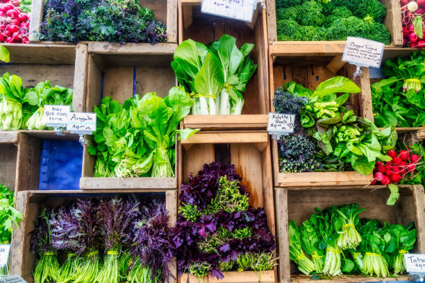 Red radish and leaf vegetables - Kalette Raab, Spinach, Red and green dandelion greens, tatsoi, and bok choy, dragon tongue, red russian kale, arugula and mizuma