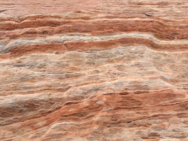The swirling patterns in the rock, referred as cross beds, actually reflect petrified dunes. The shapes are the result of wind and water eroding the sandstone over time.