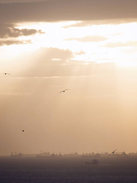 Amazing Sunsets, Sailing, driving on the Historic Seven Mile Bridge,  the Henry Flagler Railroad Bridge, birds and wildlife are all a part of the eco system of the Florida Keys.