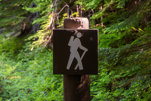 Hiking Trailhead Sign in Mount Rainier National Park