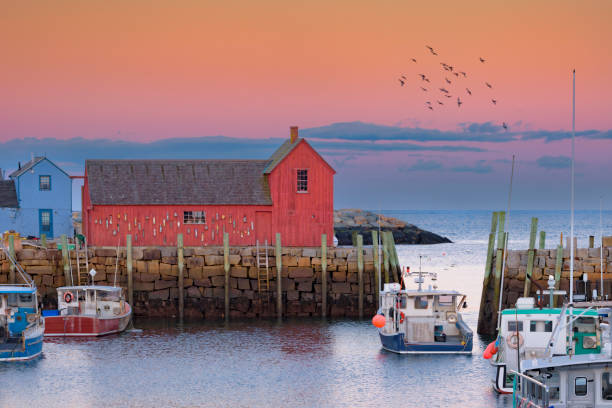 istock Motif #1 at Dusk with a Colony of Seagulls 2148641576