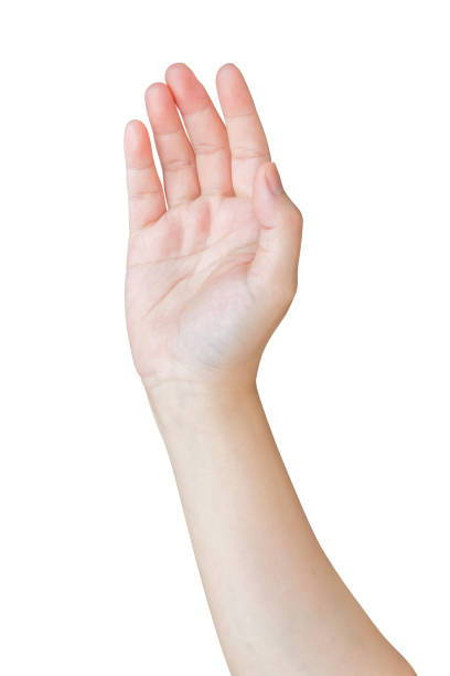 istock Woman hand gesture isolated on white background 2148643149