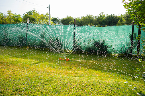 Garden irrigation in a backyard with lawn sprinkler system.