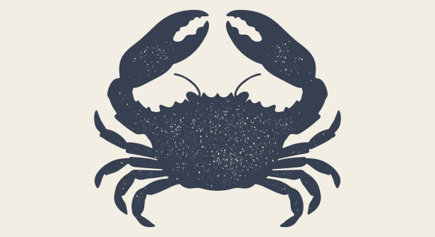 Crab, seafood, sketch. Vintage retro print, seafood crab sketch, sea life, ink pencil style drawing, engrave old school sketch, hand drawn. Sketch artwork crab, sign, sea symbol. Vector Illustration
