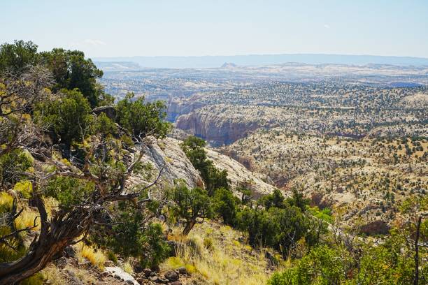 istock Grand Staircase Escalante National Monument Utah 2148645613