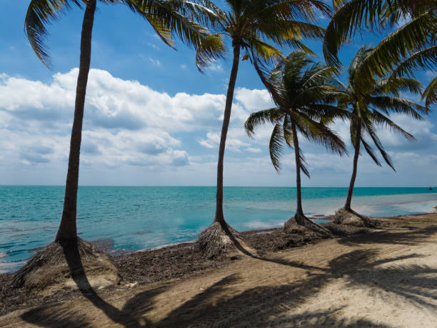 istock El mirador 2 public beach in Cancun 2148647017