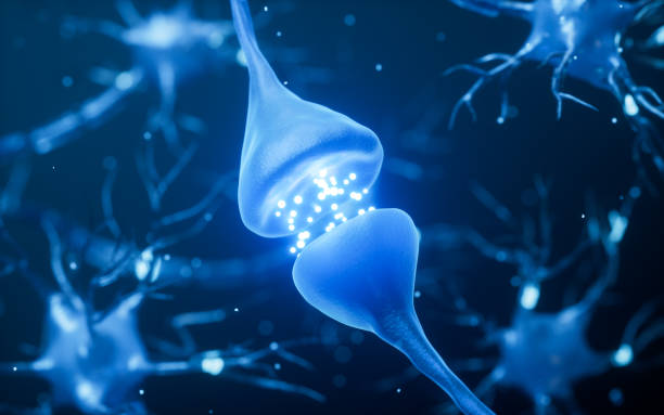 istock Biology nerve cell with biomedicine concept, 3d rendering. 2148652158
