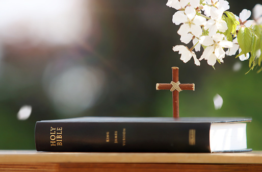 Holy Bible and cross of Jesus Christ, cherry blossoms blowing in spring wind and bright sunlight green forest background
