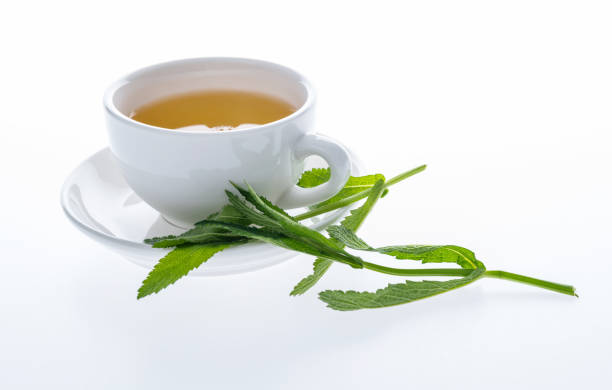 istock Verbena leaves in water to drink 2148659910