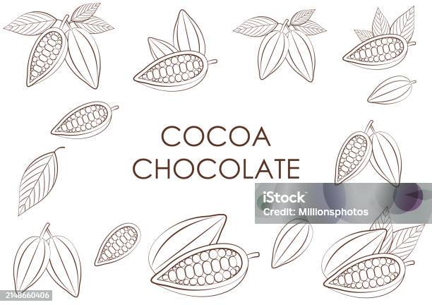 Cocoa Template Cocoa Frame Cocoa Seamless Pattern Background Stock